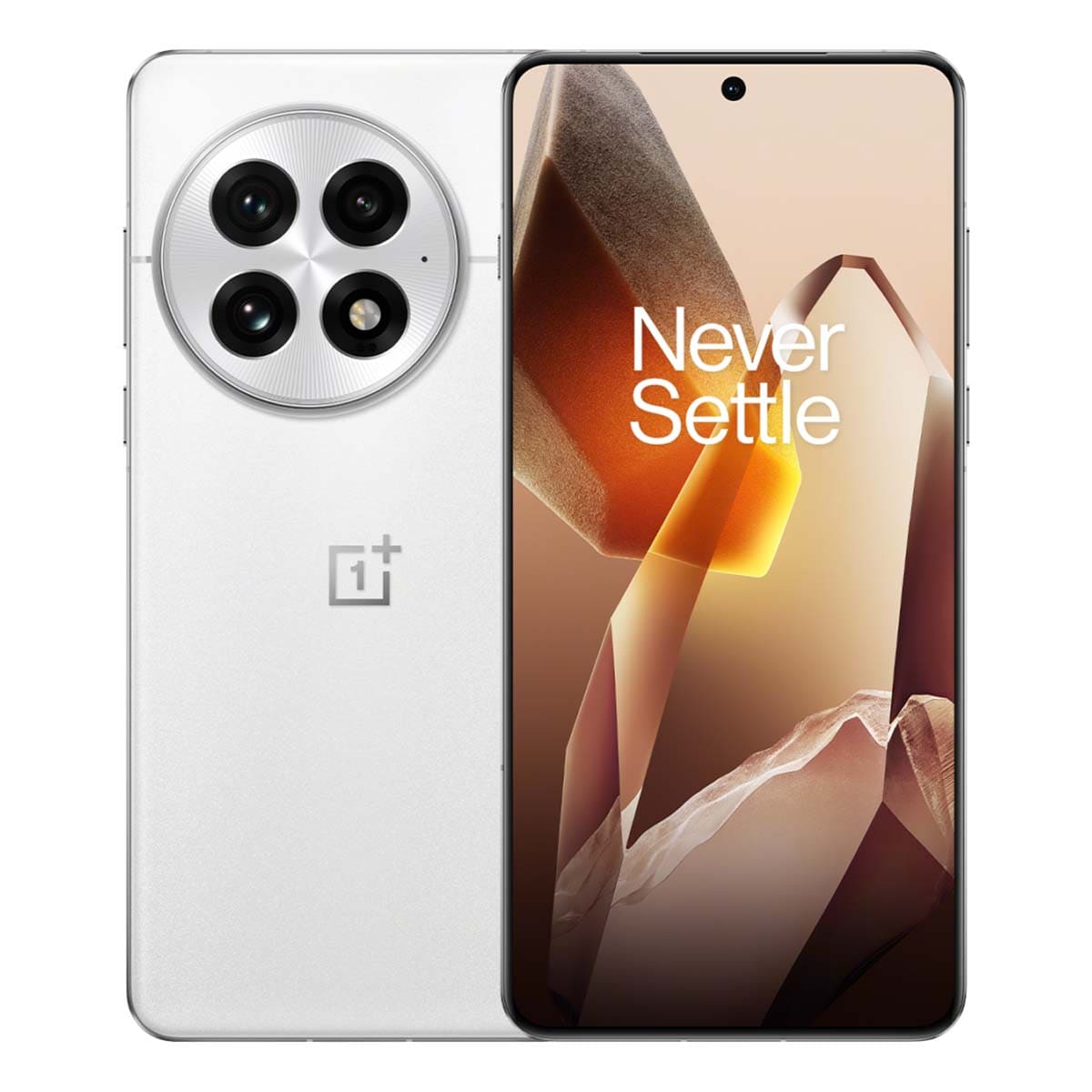 OnePlus 13 (2024) 12/512Gb White, белый