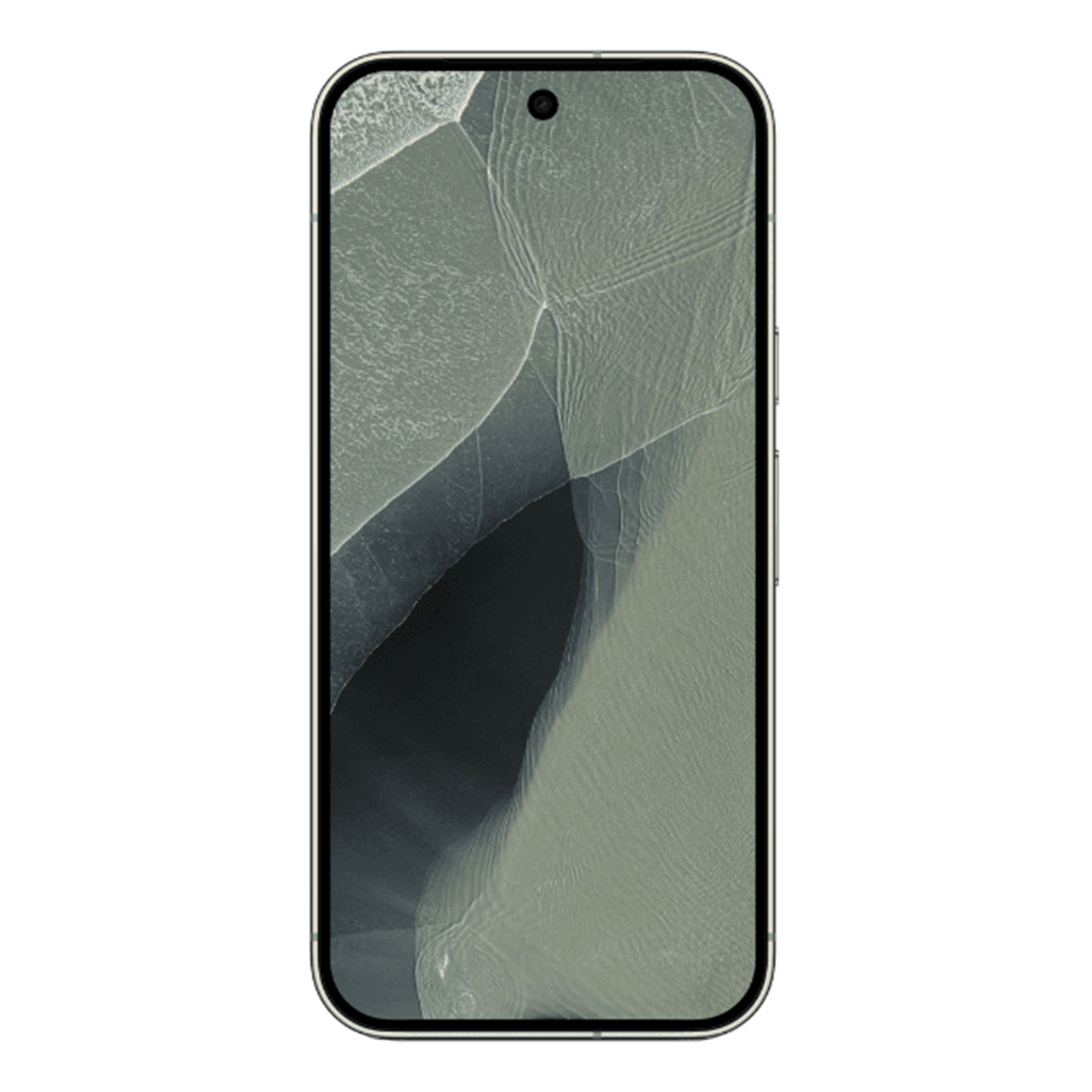 Google Pixel 11 Pro XL 16/512Gb Olive, оливковый